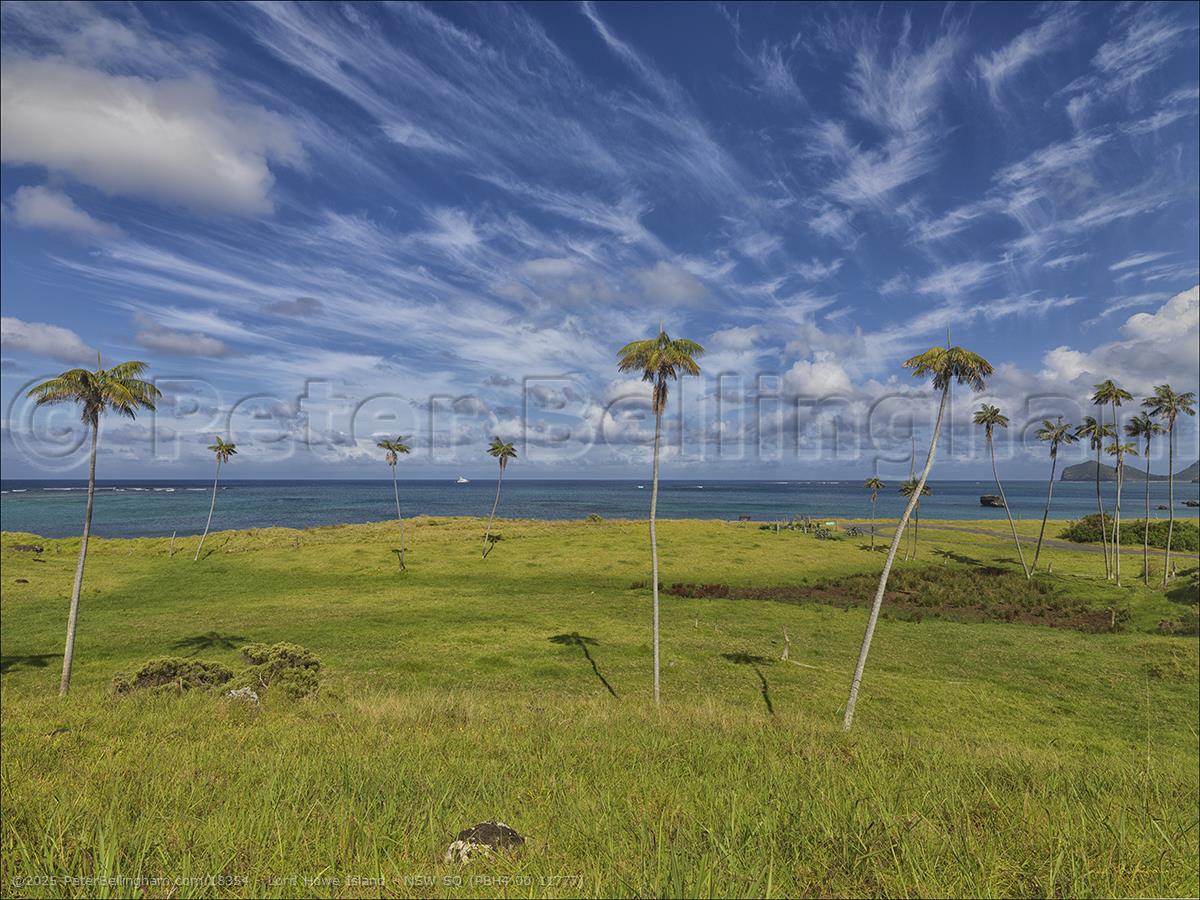 Peter Bellingham Photography Lord Howe Island - NSW SQ (PBH4 00 11777)